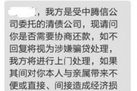 普兰店如何避免债务纠纷？专业追讨公司教您应对之策